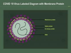 Covid 19 virus labeled diagram with membrane protein ppt powerpoint presentation ideas background designs