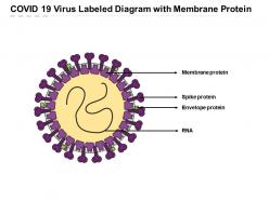 Covid 19 virus labeled diagram with membrane protein