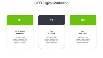 CPO Digital Marketing Ppt Powerpoint Presentation Visual Aids Diagrams Cpb