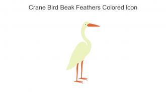 Crane Bird Beak Feathers Colored Icon In Powerpoint Pptx Png And Editable Eps Format