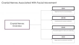 Cranial Nerves Associated With Facial Movement PPT Information ACP
