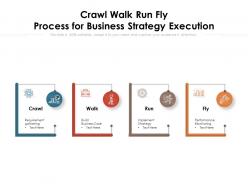 Crawl walk run fly process for business strategy execution