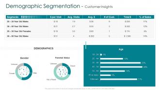 Creating marketing strategy for your organization demographic segmentation customer
