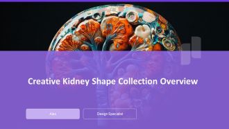 Creative Kidney Shape Collection Overview PPT Summary AT