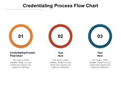 Credentialing process flow chart ppt powerpoint presentation infographic template download cpb