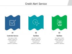 Credit alert service ppt powerpoint presentation gallery show cpb