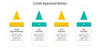 Credit appraisal banks ppt powerpoint presentation ideas tips cpb