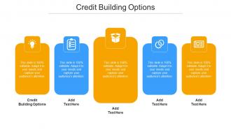 Credit Building Options Ppt Powerpoint Presentation Infographic Template Show Cpb