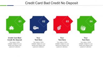 Credit Card Bad Credit No Deposit Ppt Powerpoint Presentation Layouts Slide Cpb