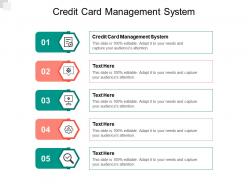 Credit card management system ppt powerpoint presentation model smartart cpb