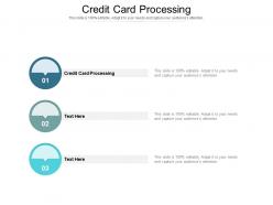 Credit Card Processing Ppt Powerpoint Presentation Styles Slides Cpb
