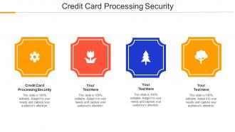 Credit Card Processing Security Ppt Powerpoint Presentation Portfolio Brochure Cpb