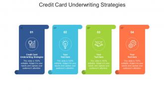 Credit card underwriting strategies ppt powerpoint presentation styles examples cpb
