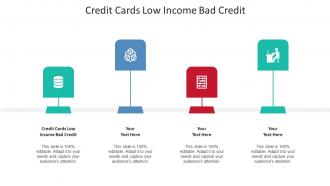Credit Cards Low Income Bad Credit Ppt Powerpoint Presentation Infographics Introduction Cpb