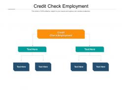 Credit check employment ppt powerpoint presentation infographic template grid cpb