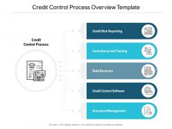 Credit control process overview template