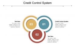 Credit control system ppt powerpoint presentation show grid cpb