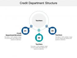 Credit department structure ppt powerpoint presentation icon clipart cpb