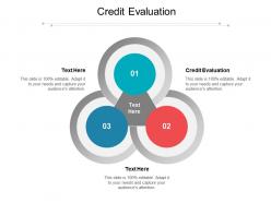 Credit evaluation ppt powerpoint presentation outline format cpb