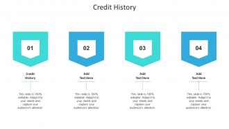 Credit History Ppt Powerpoint Presentation Gallery Demonstration Cpb