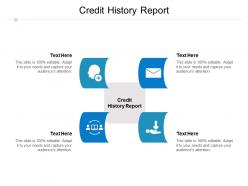 Credit history report ppt powerpoint presentation infographic template graphics template cpb