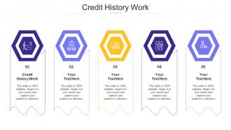 Credit History Work Ppt Powerpoint Presentation Professional Graphic Images Cpb
