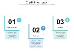 Credit information ppt powerpoint presentation styles clipart images cpb