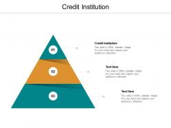 Credit institution ppt powerpoint presentation layouts example file cpb