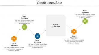 Credit Lines Sale Ppt Powerpoint Presentation Slides Example Cpb