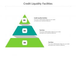 Credit liquidity facilities ppt powerpoint presentation icon deck cpb