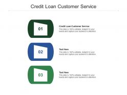 Credit loan customer service ppt powerpoint presentation show files cpb