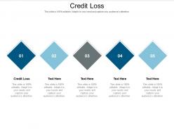 Credit loss ppt powerpoint presentation summary objects cpb