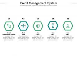Credit management system ppt powerpoint presentation infographic template cpb