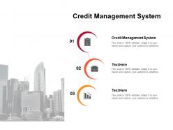 Credit management system ppt powerpoint presentation visual aids diagrams cpb