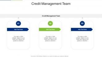 Credit Management Team In Powerpoint And Google Slides Cpb