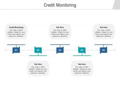 Credit monitoring ppt powerpoint presentation file show cpb