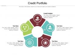 Credit portfolio ppt powerpoint presentation gallery format cpb