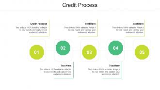 Credit process ppt powerpoint presentation ideas design ideas cpb