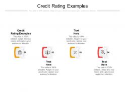 Credit rating examples ppt powerpoint presentation layouts information cpb