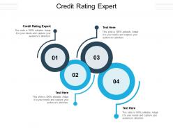 Credit rating expert ppt powerpoint presentation summary background images cpb