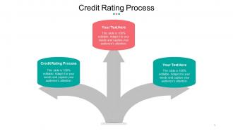 Credit Rating Process Ppt Powerpoint Presentation Slide Cpb