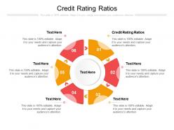 Credit rating ratios ppt powerpoint presentation gallery example file cpb