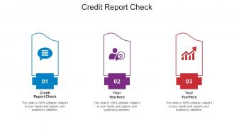 Credit Report Check Ppt Powerpoint Presentation Example Cpb