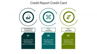 Credit report credit card ppt powerpoint presentation infographic template introduction cpb