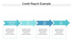 Credit report example ppt powerpoint presentation infographic template model cpb