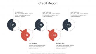 Credit Report In Powerpoint And Google Slides Cpb