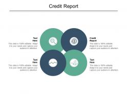 Credit report ppt powerpoint presentation layouts slides cpb