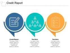 Credit report ppt powerpoint presentation outline layouts cpb