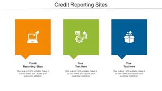 Credit Reporting Sites Ppt Powerpoint Presentation Styles Background Image Cpb