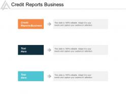 credit_reports_business_ppt_powerpoint_presentation_infographics_inspiration_cpb_Slide01